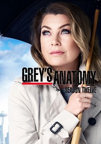 Grey's Anatomy saison 12