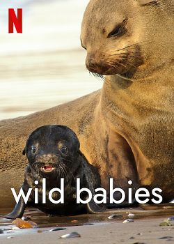 Wild Babies : Petits et Sauvages saison 1